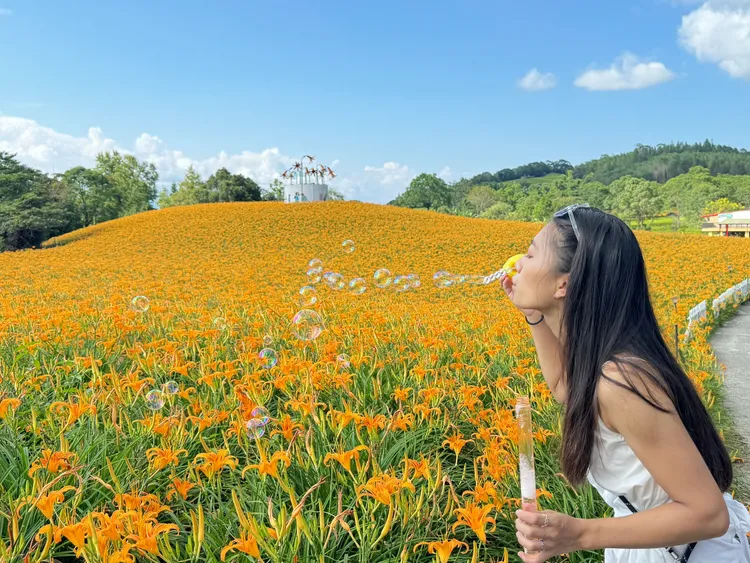 入住福容花蓮海景家庭客房，探訪六十石山最美金黃花毯。業者提供