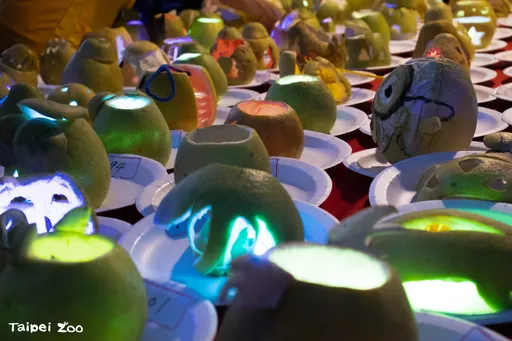 動物園提前慶中秋 激推夜遊賞月、野餐刻柚看表演