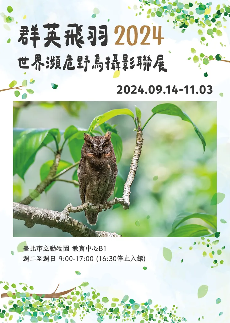群英飛羽2024世界瀕危野鳥攝影聯展。台北市立動物園提供