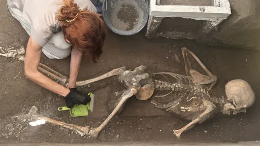 龐貝夫妻遺物出土 一窺絕望求生下的財寶