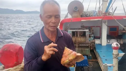 漁民捕獲活化石「龍宮貝」賣出了　最終價格曝光買家要求放生