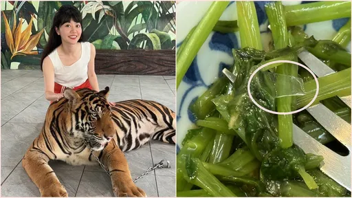 高嘉瑜空手捏破玻璃杯 晚餐吃到碎片憂不能再唱歌