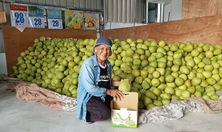 黃素菊阿嬤為花蓮瑞穗鶴岡村屋拉力部落的原住民農民，接手照顧家中的文旦園已將近40年。業者提供