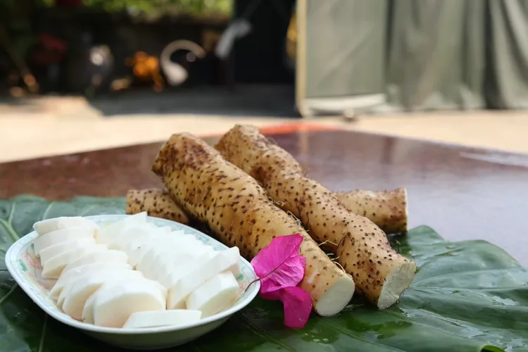 「原生種山藥」是臺灣特有的山藥品種，有別於其他山藥品種，新北山藥口感香Q綿密，不論風味和營養成份都完勝進口山藥(。業者提供