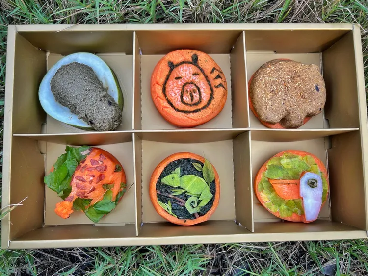 保育員以動物平日愛吃的紅蘿蔔、地瓜、南瓜與乾飼料，製作成精緻高貴的月餅禮盒。園方提供