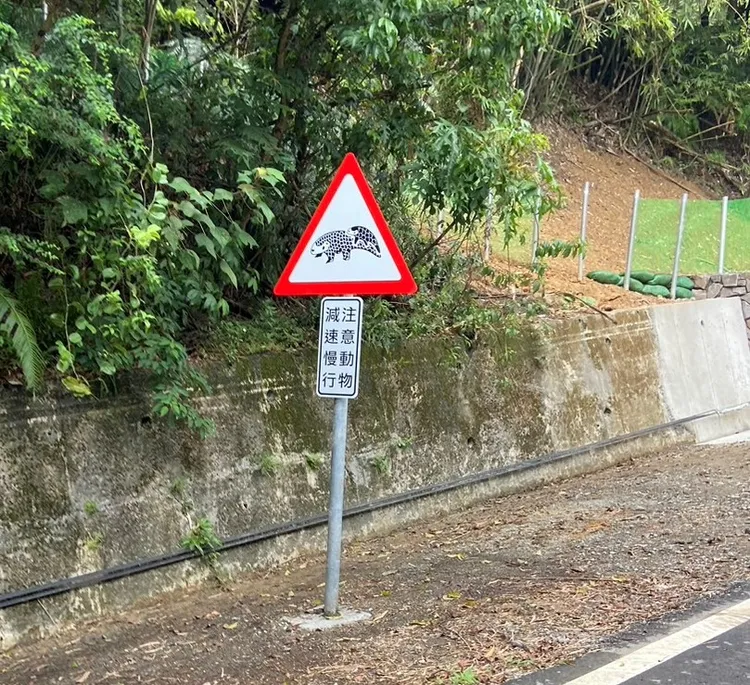 在汐止區八連路以穿山甲寶寶趴在媽媽尾巴上的生物習性為設計構想，新設道路警示牌。農業局提供