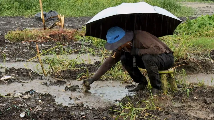 阿仁獨自在大雨中撿垃圾。無米樂影像工作室提供