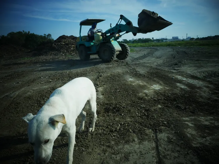 阿仁在農場日復一日工作，只有狗狗陪伴。無米樂影像工作室提供