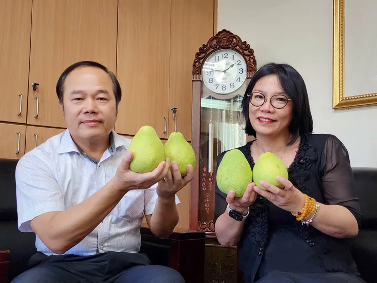 活動期間凡消費「八里文化寶藏午茶組」每日前10名顧客，還可獲贈八里區農會特選文旦柚。館方提供