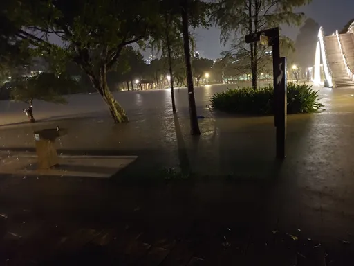 雨炸整天!大湖公園水滿出來了