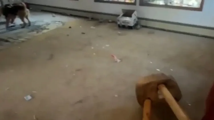 Airbnb地上四散垃圾。翻攝自《紐約郵報》