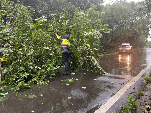 康芮強颱來襲!路樹倒塌擋道 龍潭警冒雨鋸樹交管