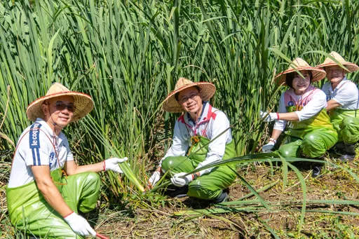桃園三坑水鄉茭白筍節登場 張善政:盼藉食農教育帶動產業發展
