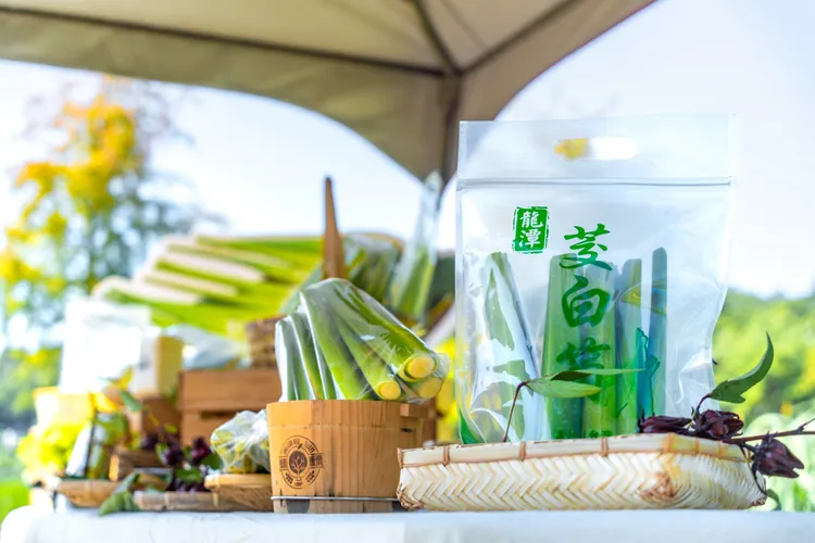 三坑生產的茭白筍。桃園市府提供