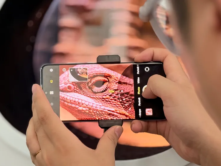 長焦微距攝影可以在拍照時選擇是否需要景深的功能。趙筱文 攝