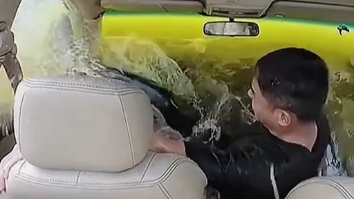 警世影片｜車墜河迅速淹沒　車內視角看駕駛「嘶吼到絕望」無力逃