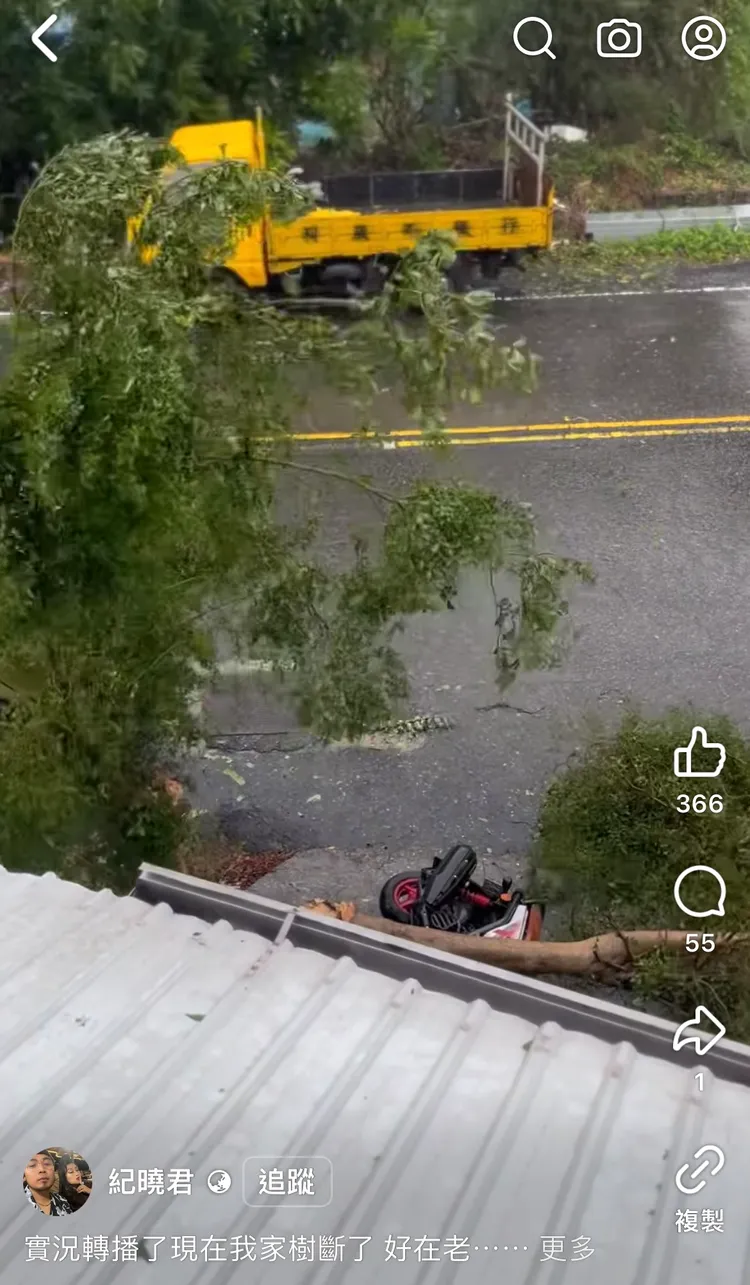 紀曉君機車不慎被倒下來的樹壓倒。圖／摘自臉書