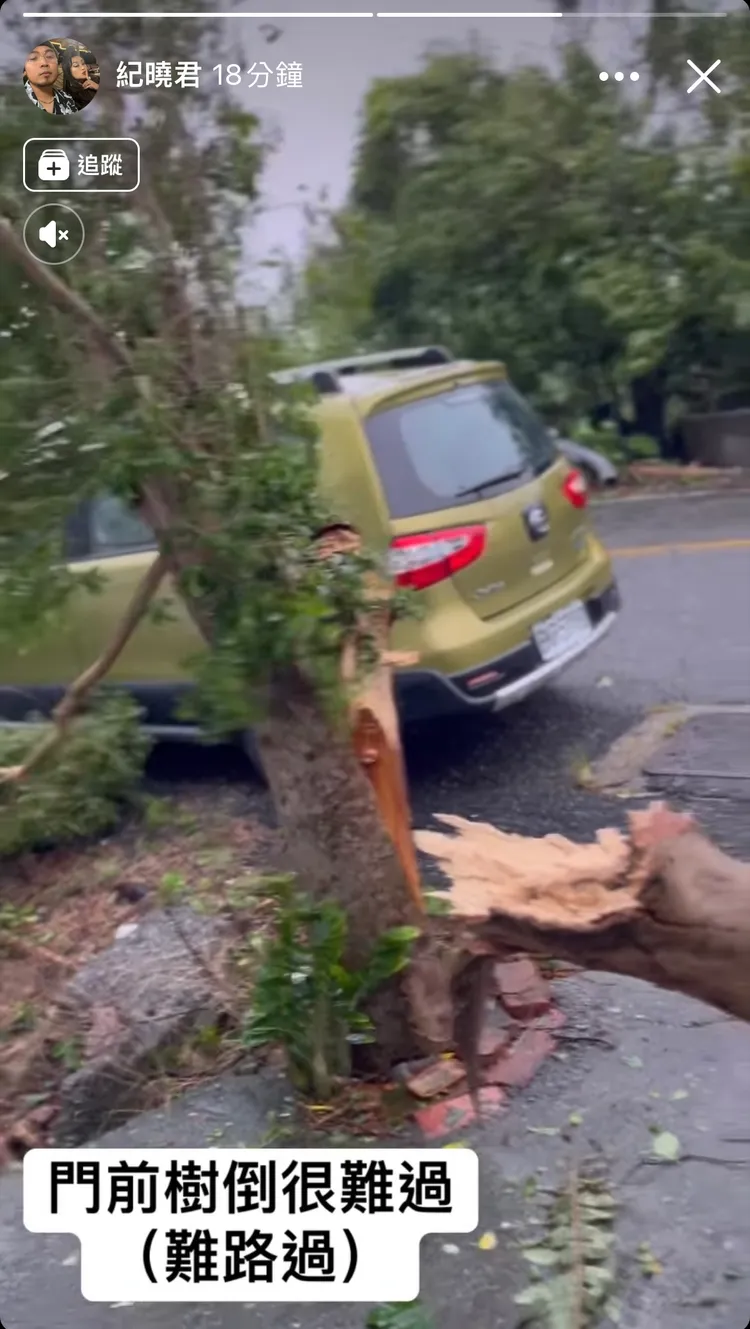 紀曉君門口樹遭強風吹倒，幸好提前移車躲過一劫。圖/摘自臉書