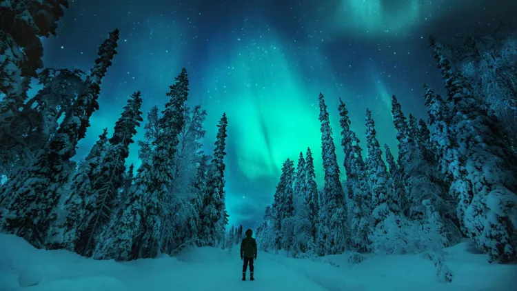 極光大爆發年來去北歐芬蘭賞極光。。業者提供