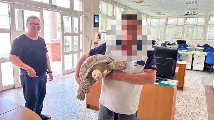 警方將象龜帶回派出所，通知飼主領取。民眾提供