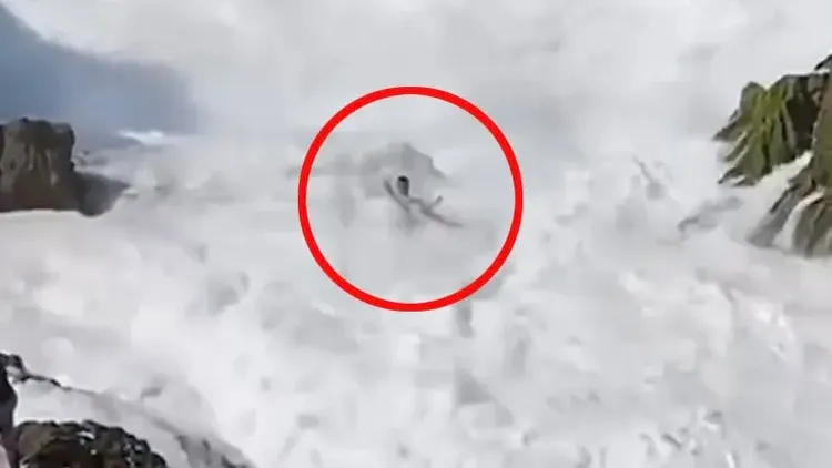 羅尼被巨浪捲走。翻攝自《紐約郵報》