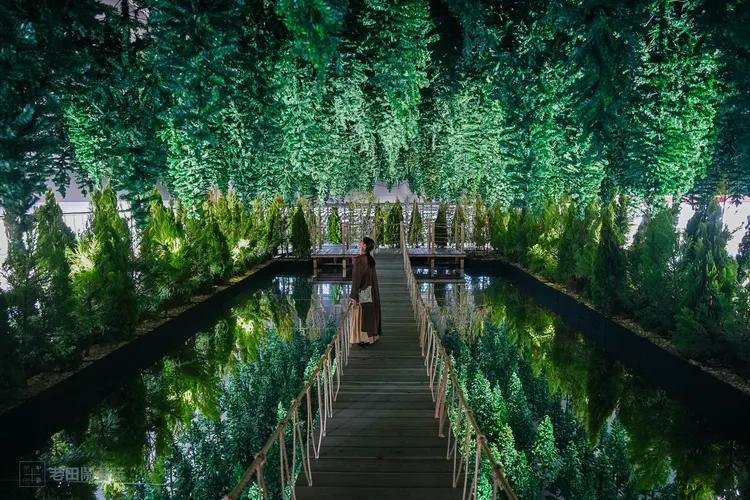 Leandro Erlich《The Nature Above》。田欣雲攝影