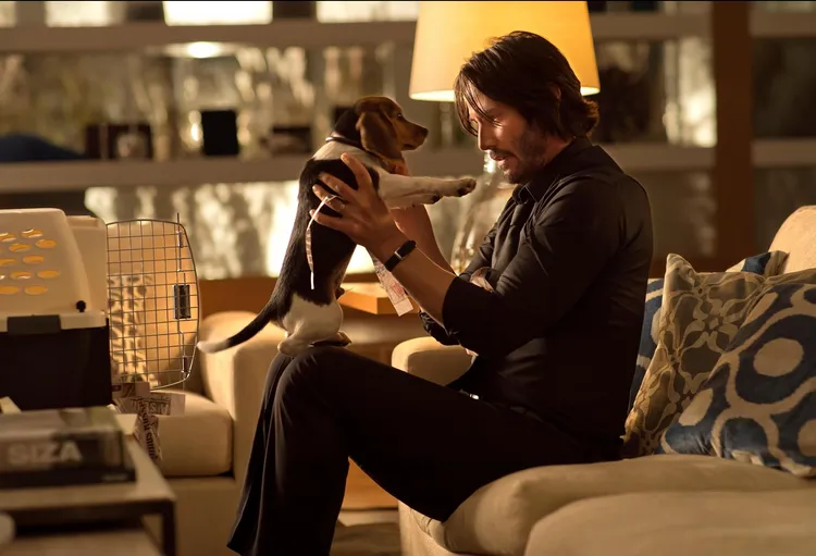 殺神約翰維克因已故愛妻留給他的狗狗遭殺害，憤而重出江湖。