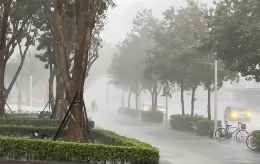 影／劉德華演唱會延期　小巨蛋外「冰雨亂拍」寸步難行