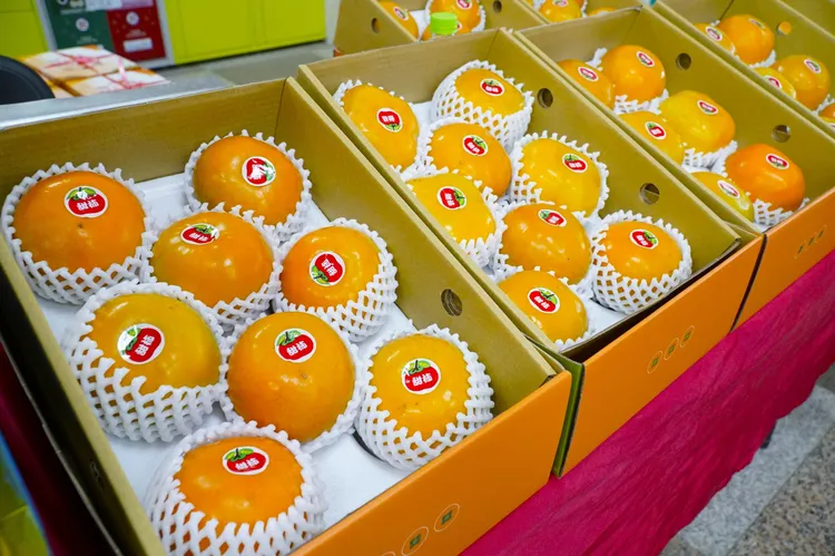 五峰鄉甜杮上市。新竹縣府提供