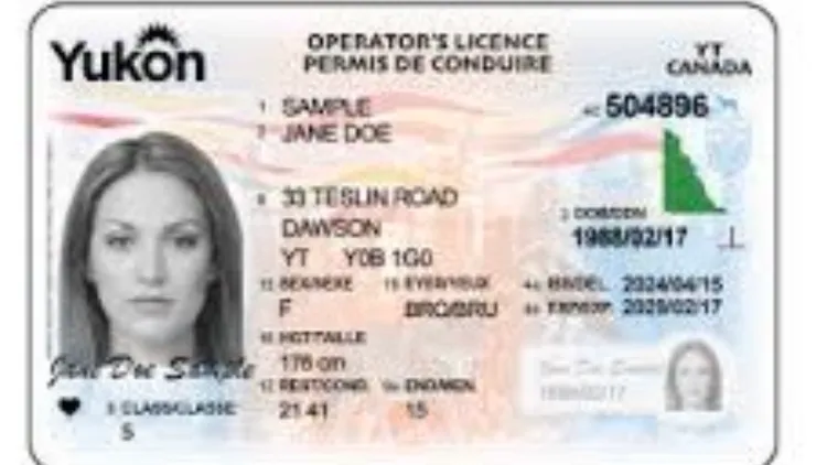 加拿大育空駕照。翻攝自Government of Yukon