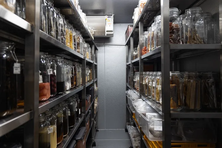 金度潤擅長用風乾的食材做菜，保存的風乾食材多達500種。翻攝Yun Seoul IG