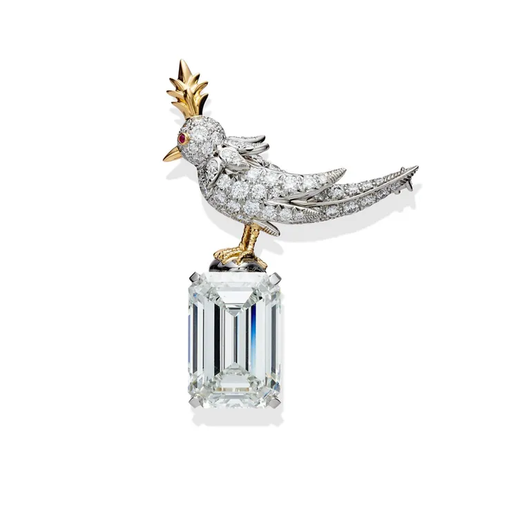 Tiffany Jean Schlumberger by Tiffany 石上鳥主石鑲嵌逾17克拉鑽石胸針。品牌提供