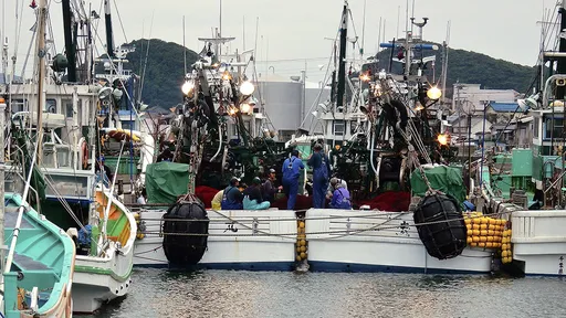 漁港黑漆漆「電呢？」　一查竟是竊賊剪走電桿上1.6km電纜線