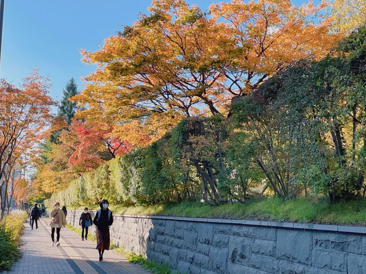 海道大學位於札幌市中心，搭乘JR至札幌站後步行約10分鐘左右即可到達。S.H.攝