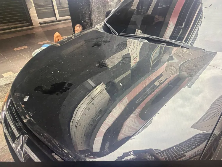 引擎蓋上還有腳印。翻攝畫面