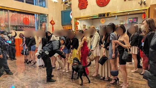 台中4警犬服務滿7年光榮退役 符合3條件、9約定可申請領養