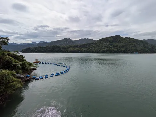 桃竹3水庫近滿水位 北水分署:視颱風動態調整放水