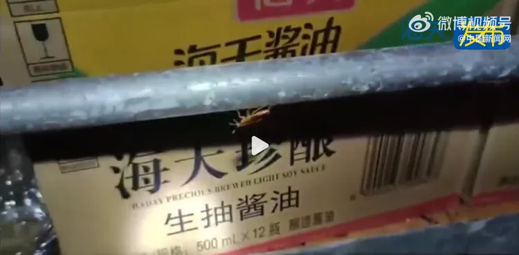 船上蟑螂亂竄。微博