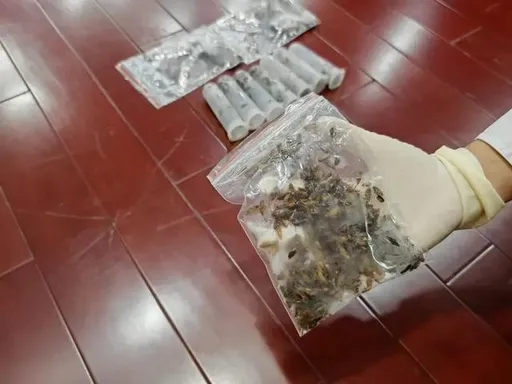 嚇爛...海關登船檢查 3千多隻蟑螂遍布廚房與食品儲藏室