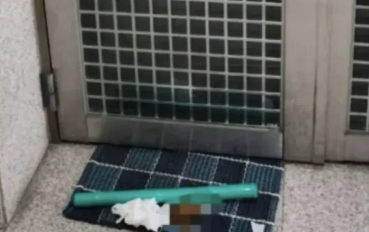 田嫌在服務處門口地毯留下一坨大便、衛生紙與綠色棍子，自稱內急一時忍不住。翻攝畫面