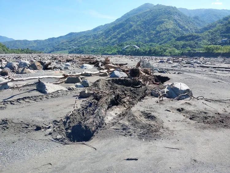 凱米風災後，荖濃溪畔有不少漂流木，其中像台灣櫸木價值不斐，引來山老鼠覬覦。民眾提供