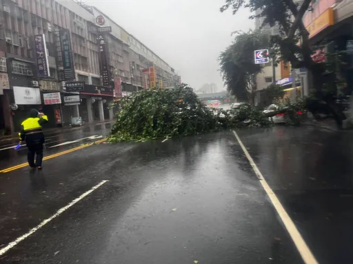 山陀兒發威!高雄市多處樹倒 鐵片飛落卡電桿!前鎮區逾2800戶一度停電