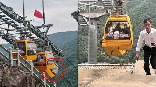 空中纜車突傾倒開門「甩出女遊客」　風景區第一件事是隱瞞