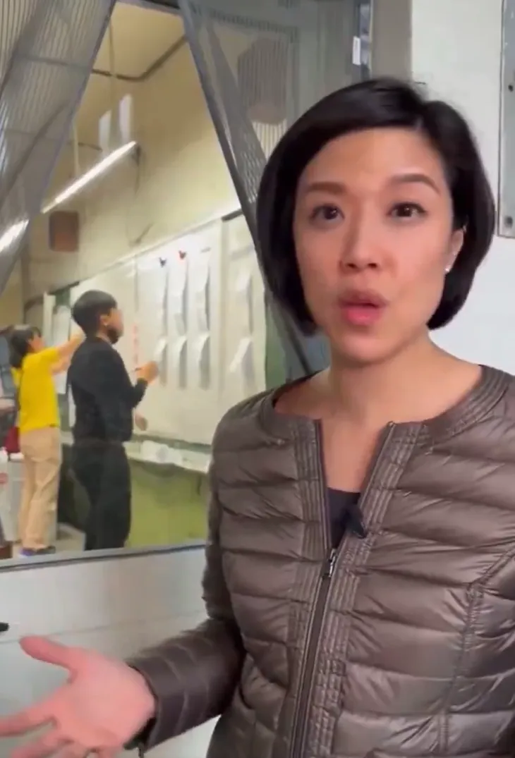 外媒介紹台灣人工計票的影片。翻攝自X @Geiger_Capital