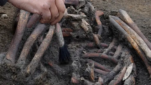 考古學家挖丹麥第三大城奧登斯　竟發現50具「維京人」