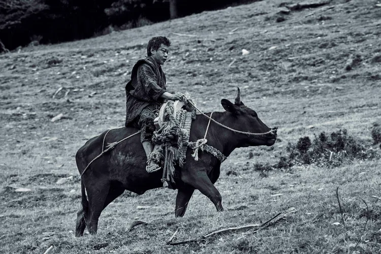 李康生在《黑之牛》騎牛與和牛過農耕生活。光年映畫提供