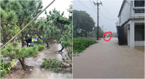 金山夫妻遭洪水沖走雙亡 女兒心碎「沒有爸媽了」揭外出真相