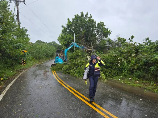 龜山警巡查見路樹倒塌　通報施工單位排除障礙