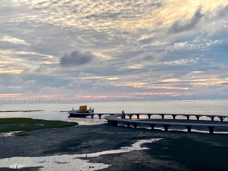香山濕地。黃蜀婷提供