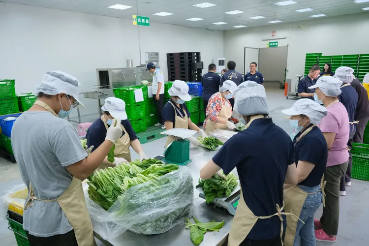 工作人員包裝有機蔬菜。新竹縣府提供